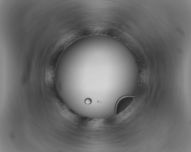 X0000111420138200907131210