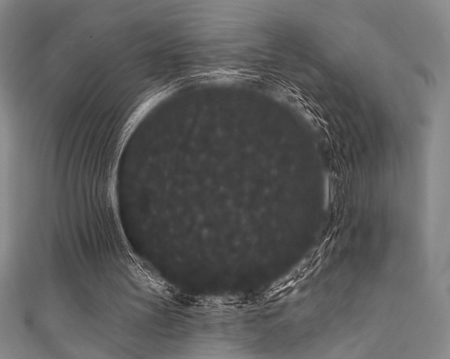 X0000111420147200907131209