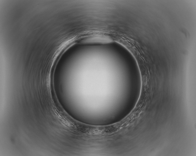 X0000111420148200907131209