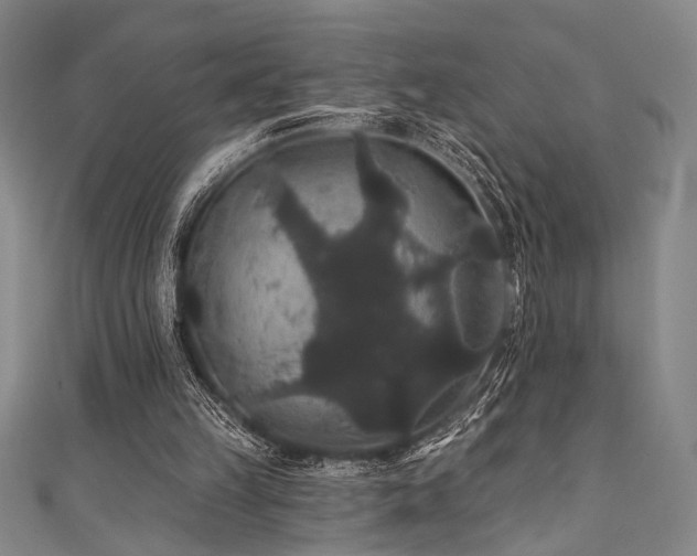 X0000111420149200907131209