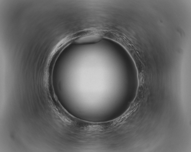 X0000111420150200907131209