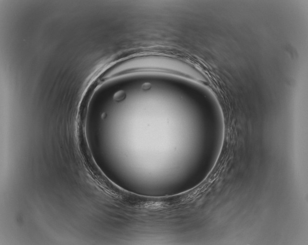 X0000111420152200907131209