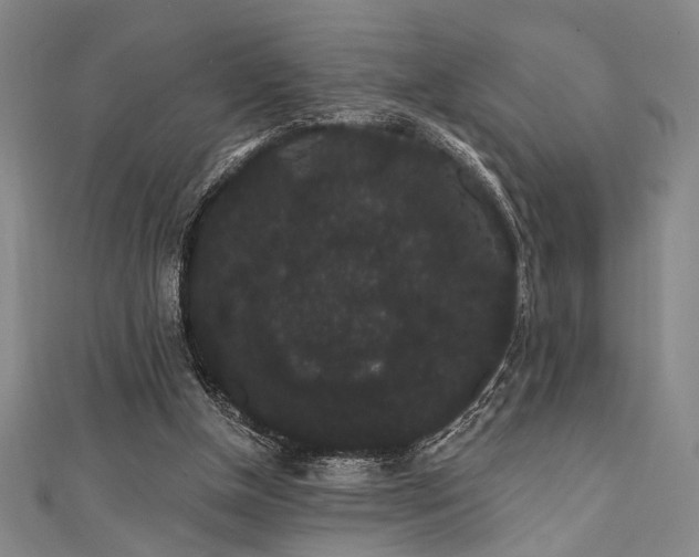 X0000111420154200907131209