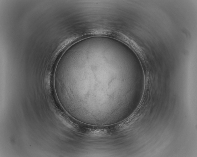 X0000111420155200907131209