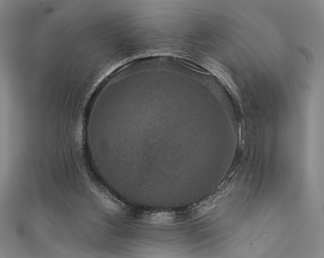 X0000111420156200907131209