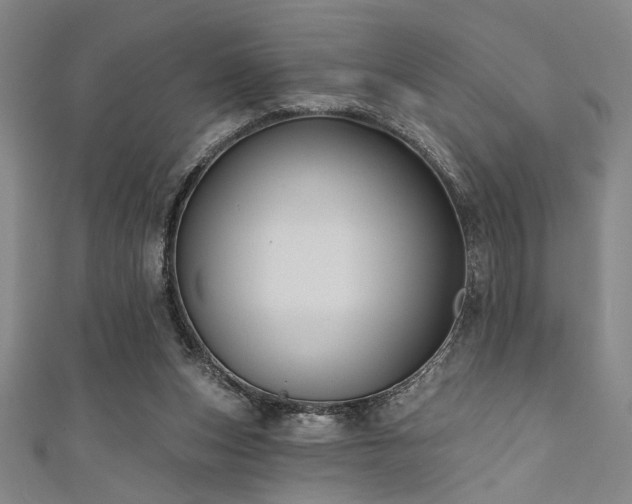 X0000111420159200907131209