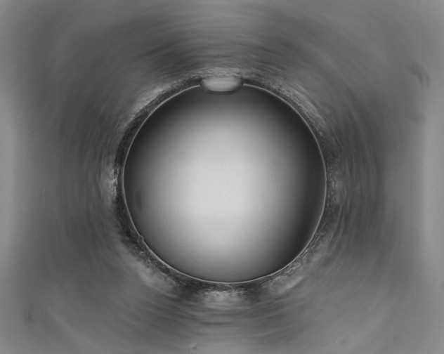 X0000111420160200907131209