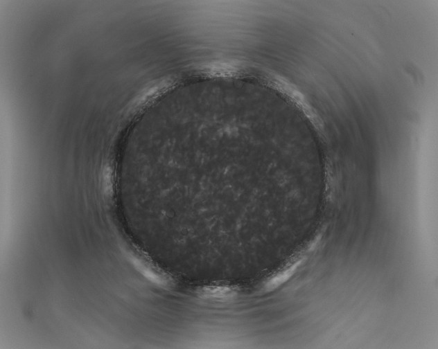 X0000111420161200907131209