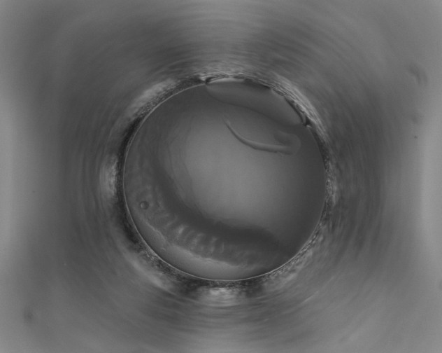 X0000111420163200907131209