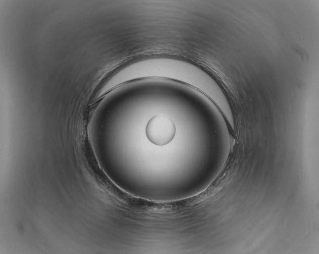 X0000111420164200907131209