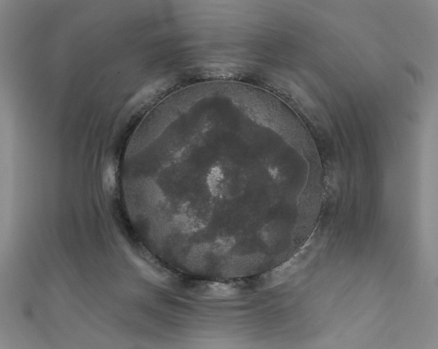 X0000111420166200907131209