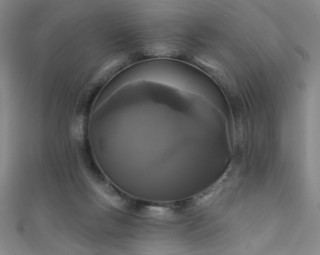 X0000111420167200907131209