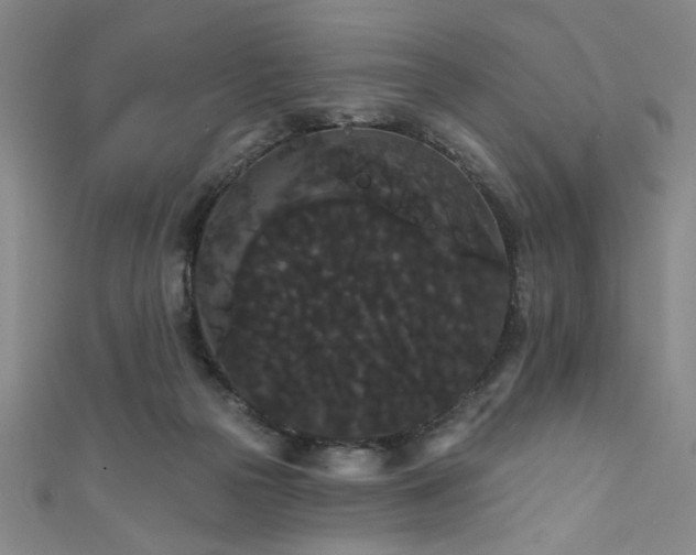 X0000111420169200907131210