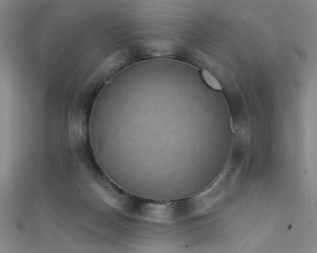 X0000111420170200907131210