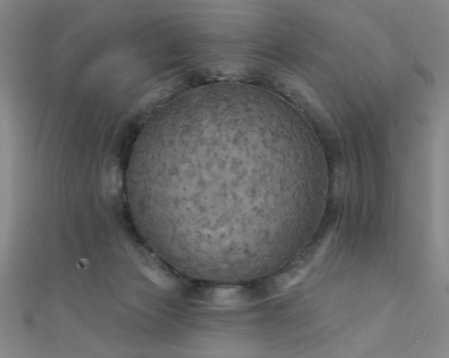 X0000111420173200907131210