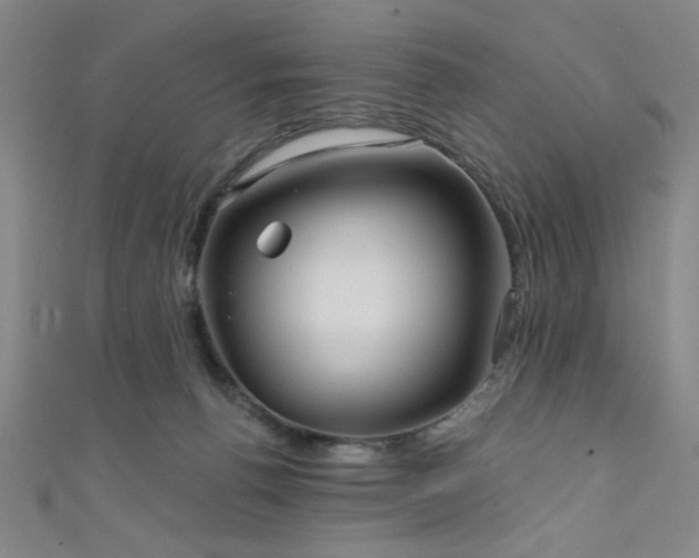 X0000111420176200907131210