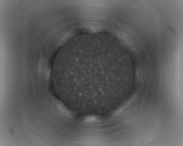 X0000111420177200907131210