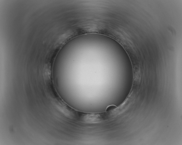 X0000111420179200907131210