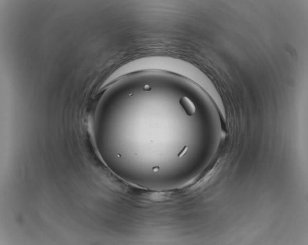 X0000111420184200907131210