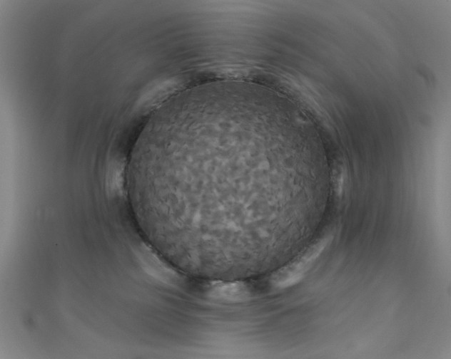 X0000111420185200907131210