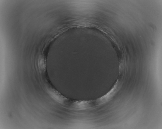 X0000111420186200907131210