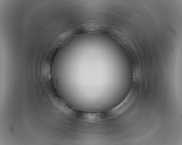 X0000111420187200907131210