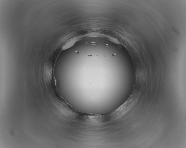 X0000111420188200907131210