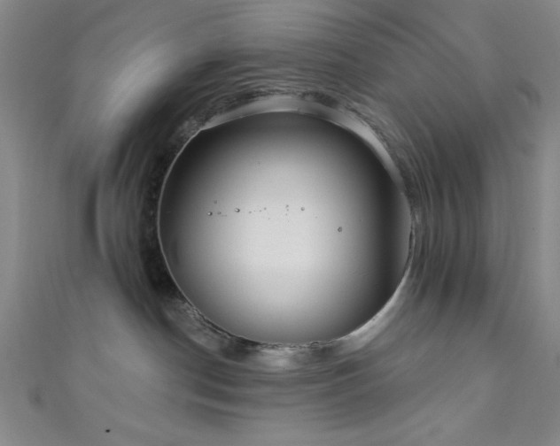 X0000111420190200907131210