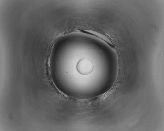 X0000111420192200907131210