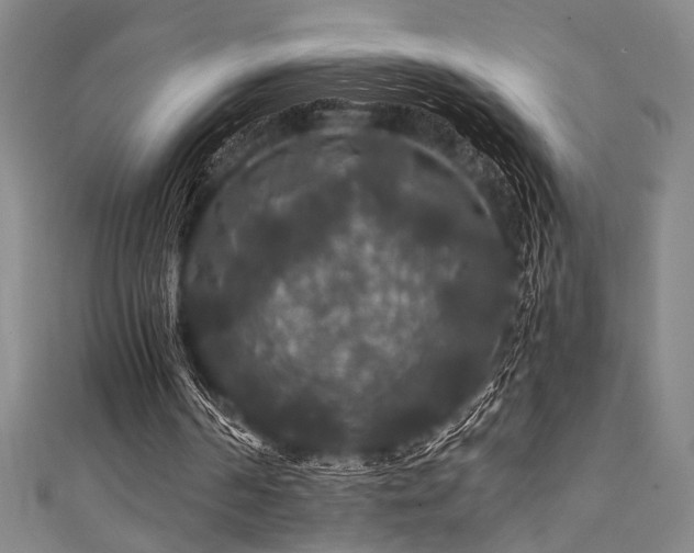 X0000111420194200907131209