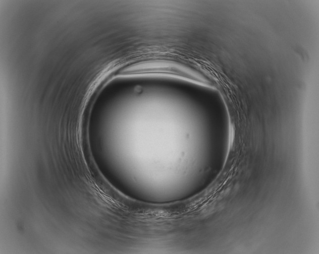 X0000111420195200907131209