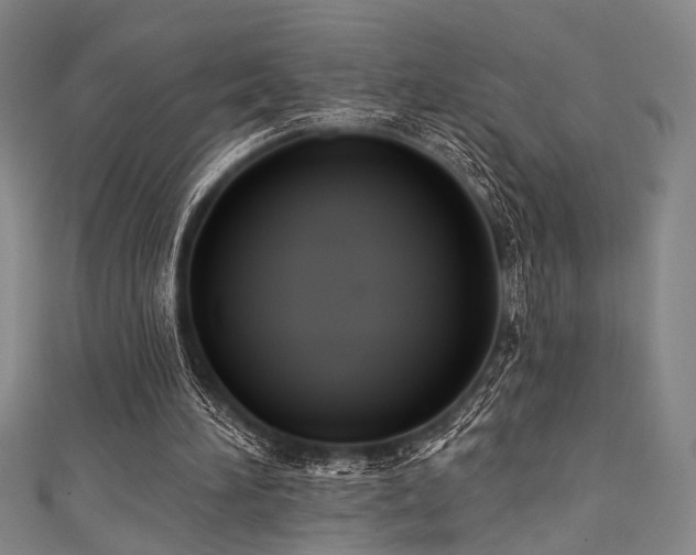 X0000111420196200907131209