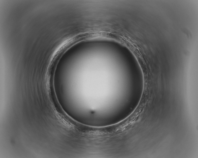 X0000111420197200907131209