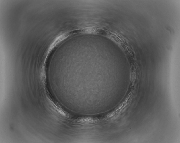 X0000111420198200907131209