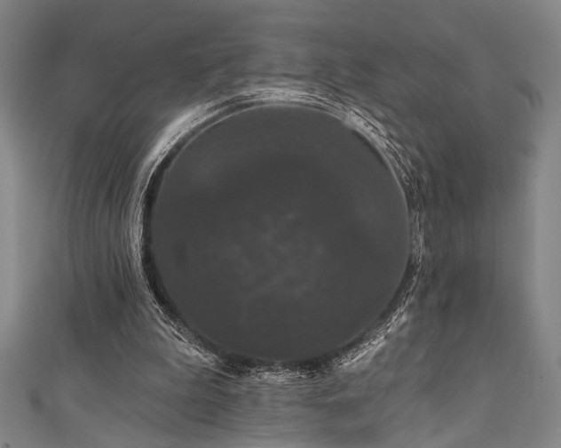 X0000111420199200907131209