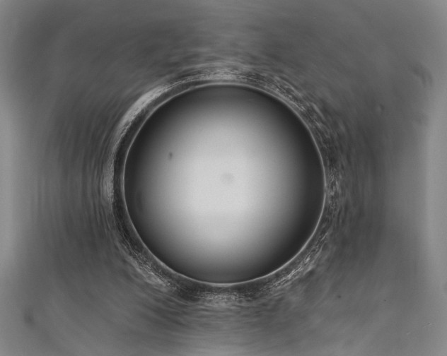 X0000111420200200907131209