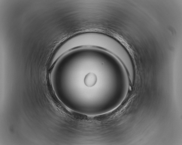 X0000111420201200907131209