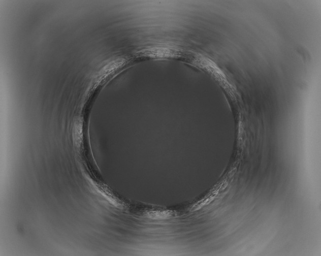 X0000111420202200907131209