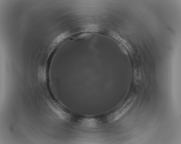 X0000111420203200907131209