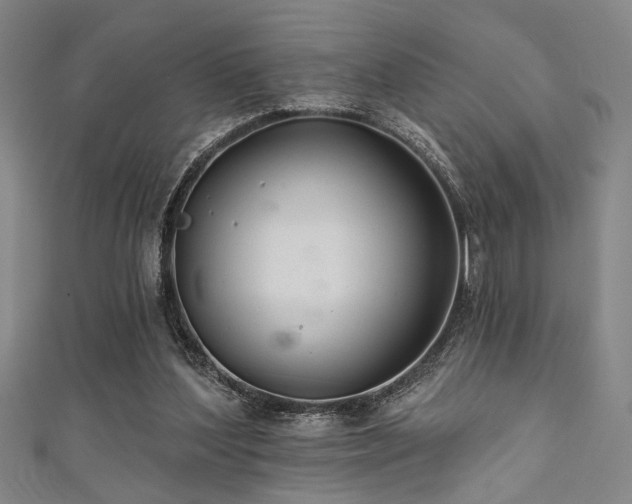 X0000111420204200907131209