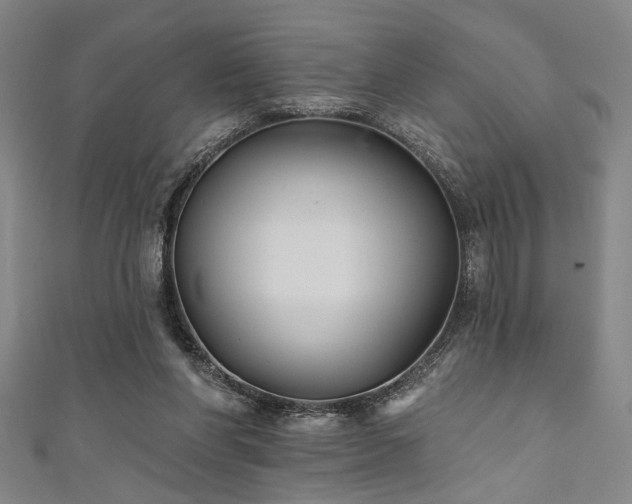 X0000111420206200907131209