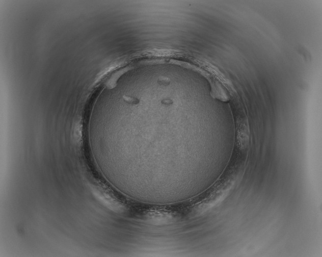 X0000111420207200907131209