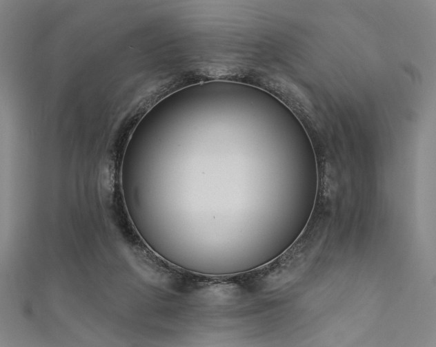 X0000111420210200907131209