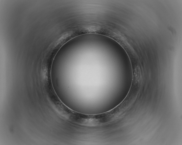 X0000111420212200907131209