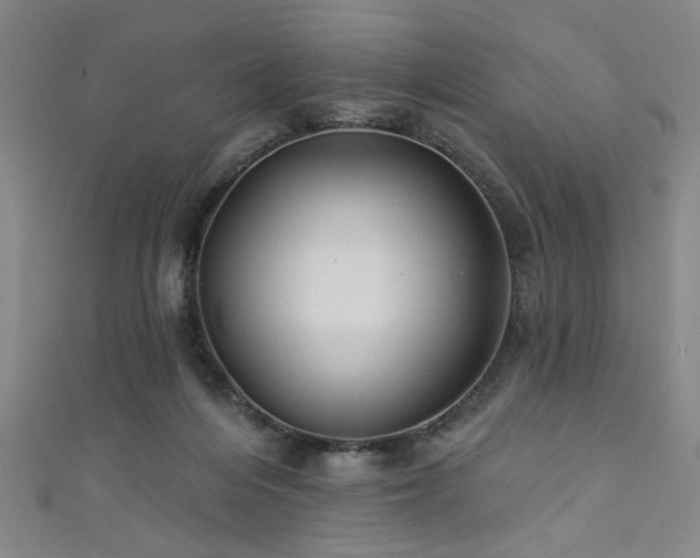 X0000111420216200907131209