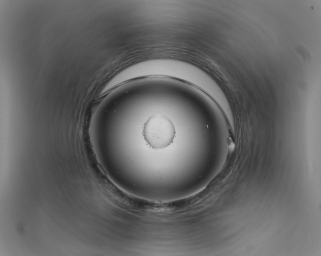 X0000111420217200907131209