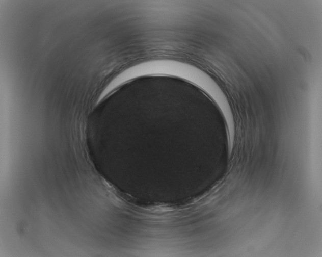 X0000111420219200907131209