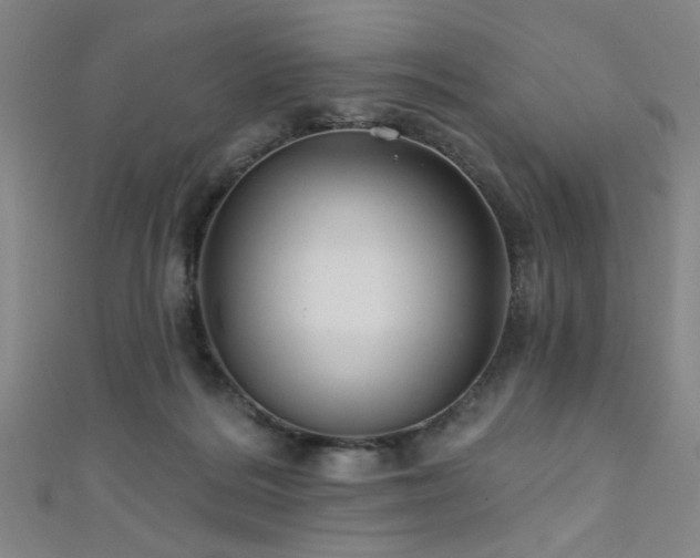 X0000111420220200907131209