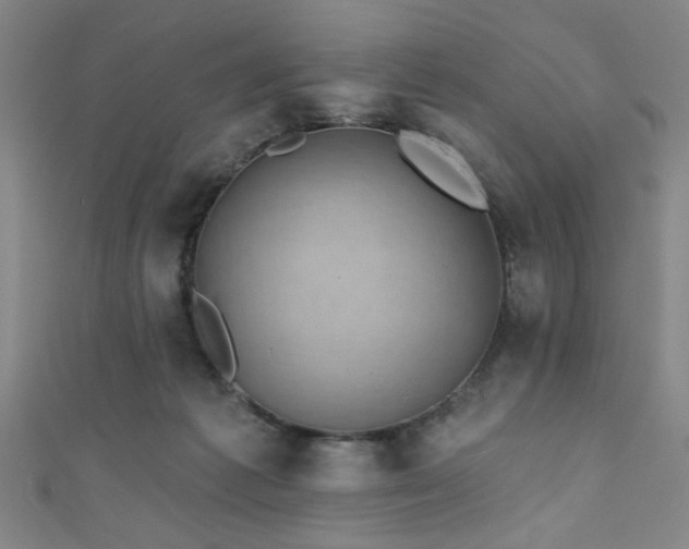 X0000111420221200907131209