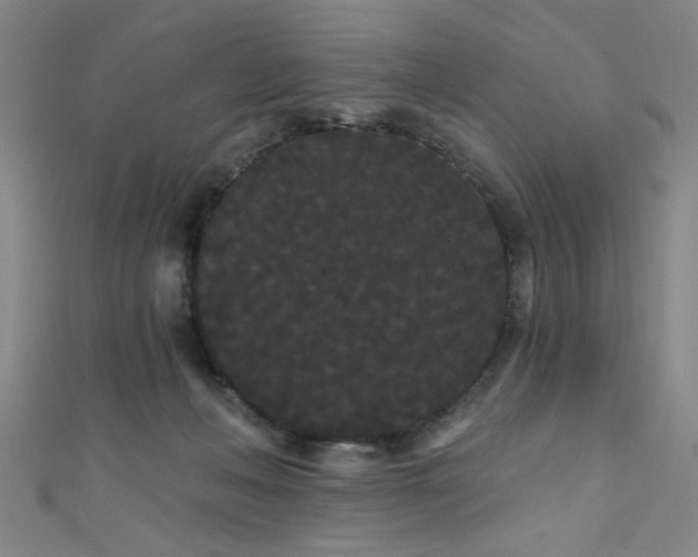 X0000111420222200907131209